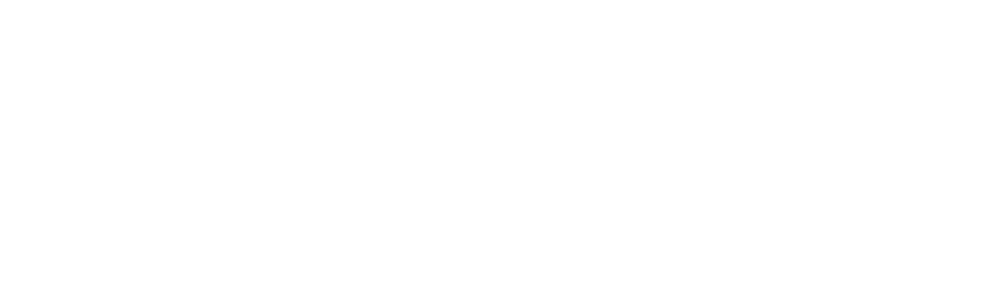 Web Dev LK Logo